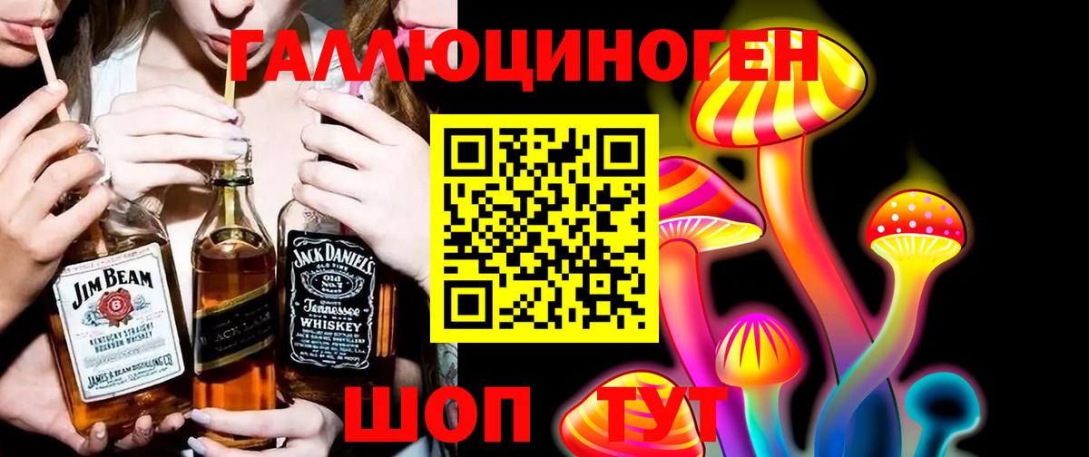 Псилоцибиновые грибы прущие грибы  Вход с VPN  Апшеронск  Псилоцибиновые грибы Psilocybe 