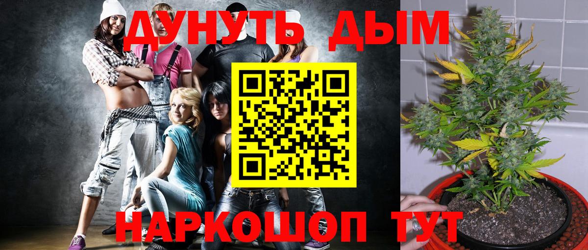 Шишки марихуана тримм  Марихуана тримм  Апшеронск  Конопля THC 21%  Вход с VPN 